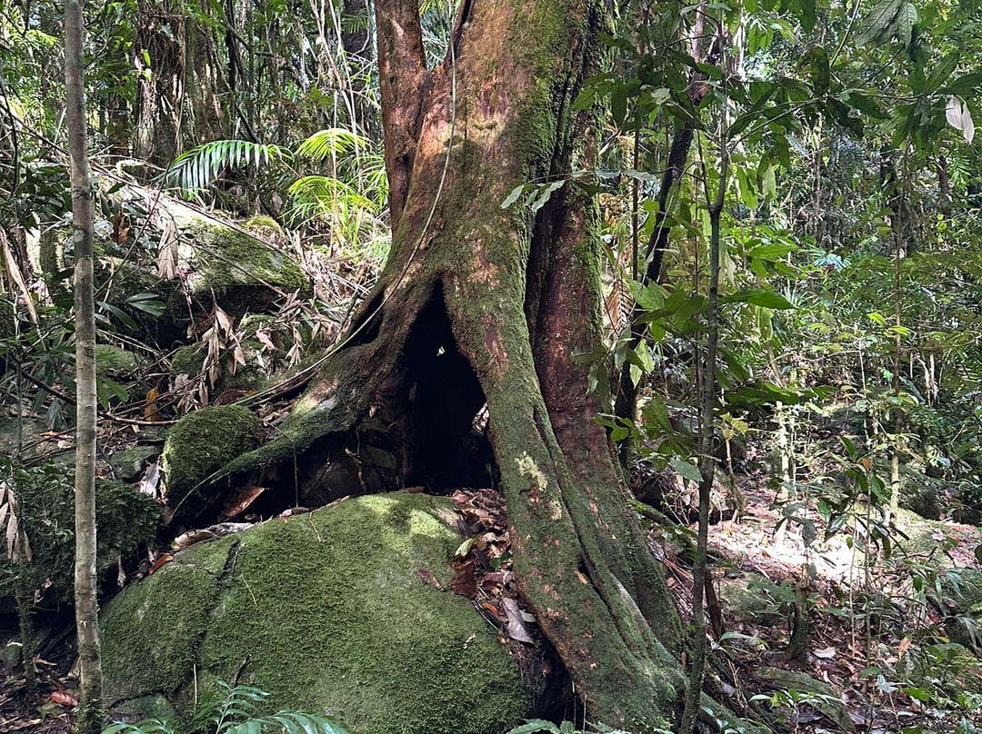 Josephine Falls-凯恩斯必去景点