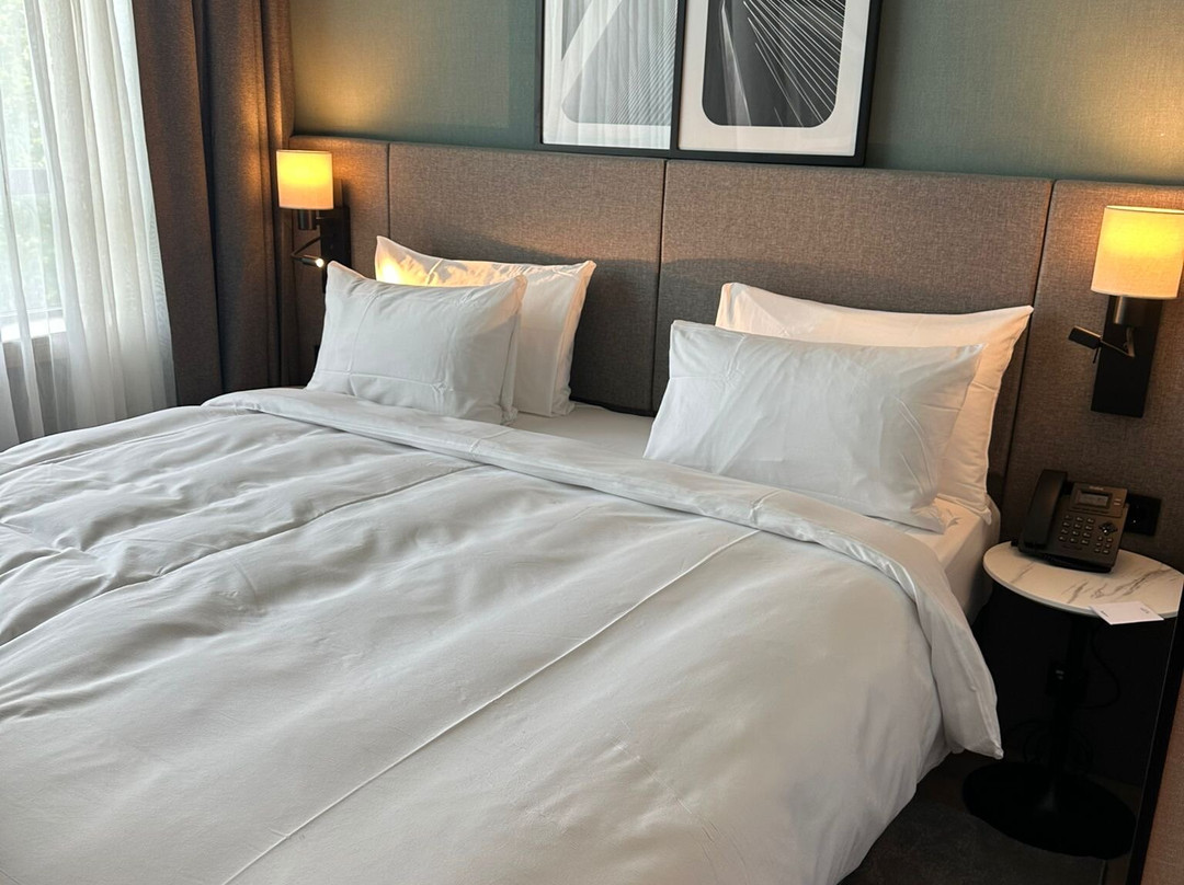 Radisson Hotel Amsterdam Schiphol Airport Hoofddorp