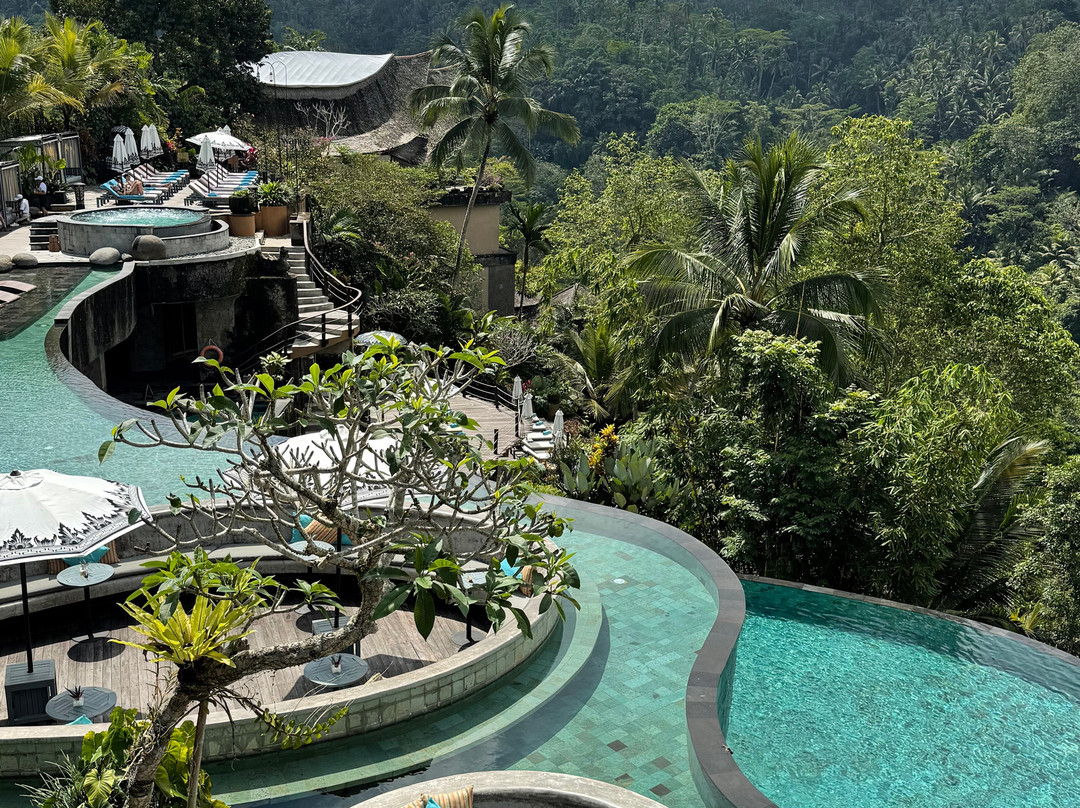 Wanna Jungle Pool and Bar-佩艳艮必去景点