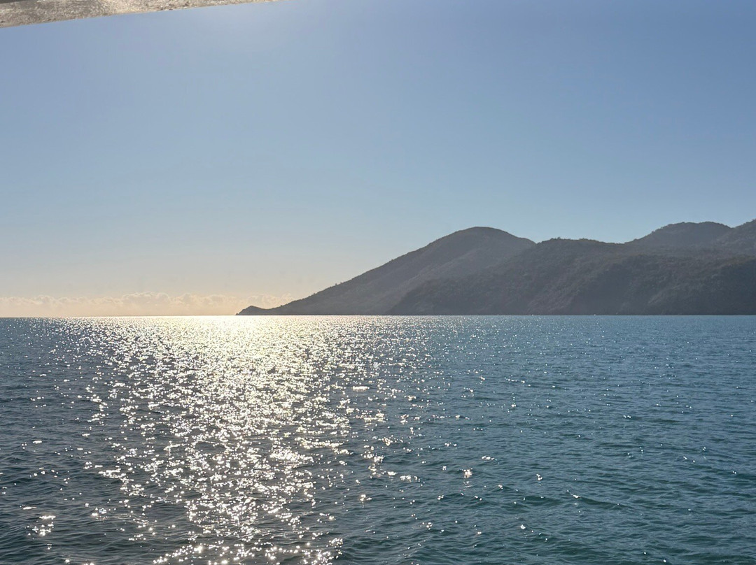 SeaLink Queensland - Magnetic Island Ferry Services-汤斯维尔必去景点