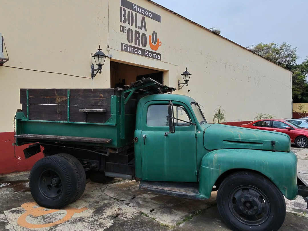 Museo Bola De Oro Finca Roma-科特佩必去景点