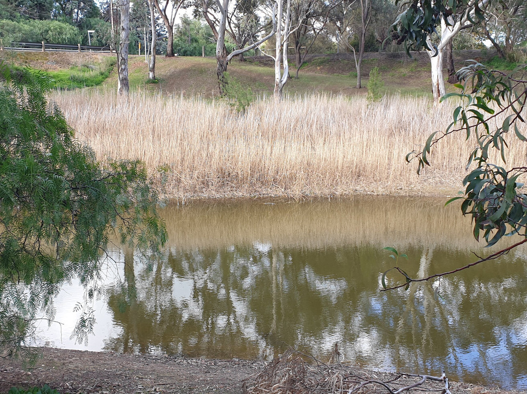 Riverton Duckpond-Riverton必去景点