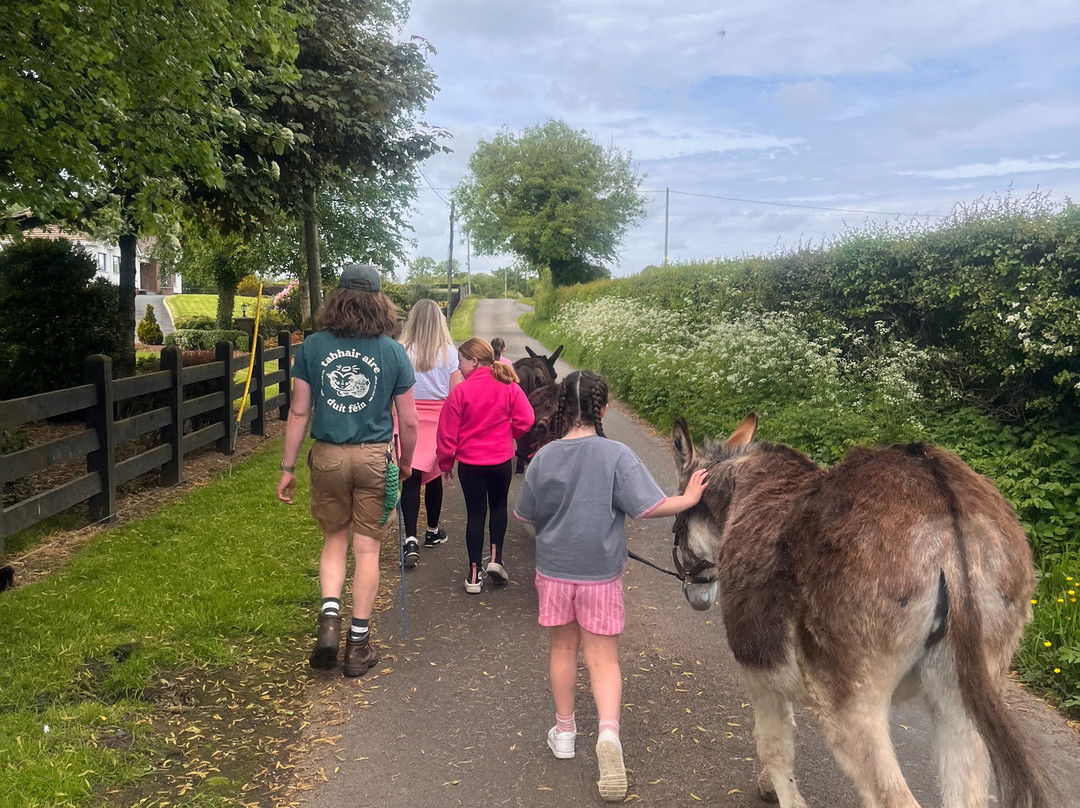 Kinedale Donkeys-Ballynahinch必去景点