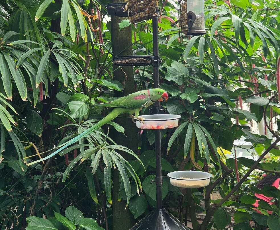 克莱尔蝴蝶中心-休斯顿必去景点