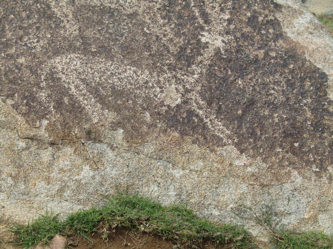 Museum of Petroglyphs-乔尔蓬阿塔必去景点