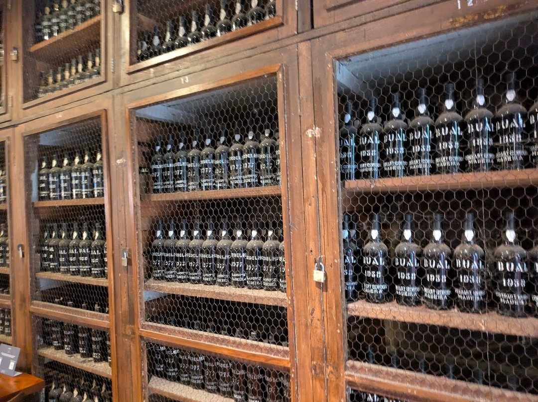 Blandy's Wine Lodge-沙尔必去景点