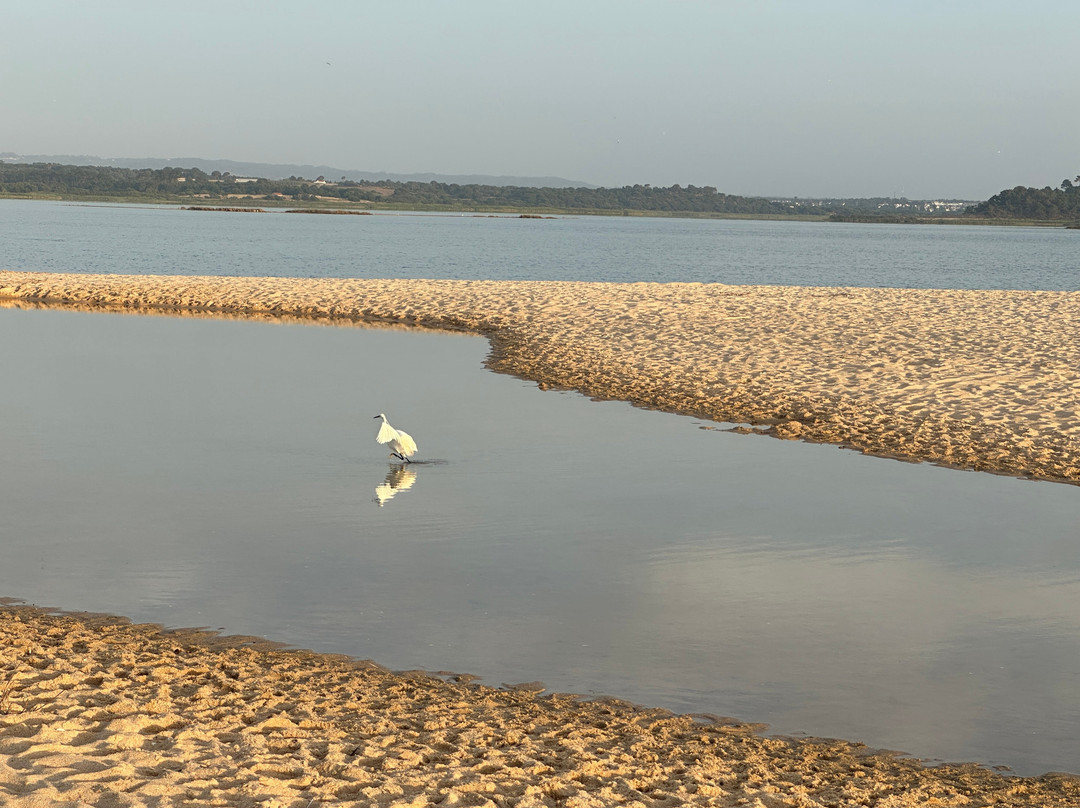 Lagoa de Santo André-Santiago do Cacem必去景点