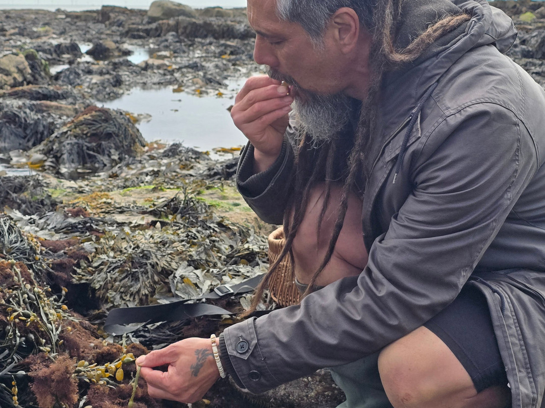 East Neuk Seaweed-St Monans必去景点