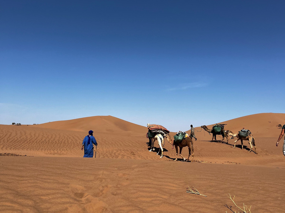 Loud Sahara Day Tours-扎古拉必去景点