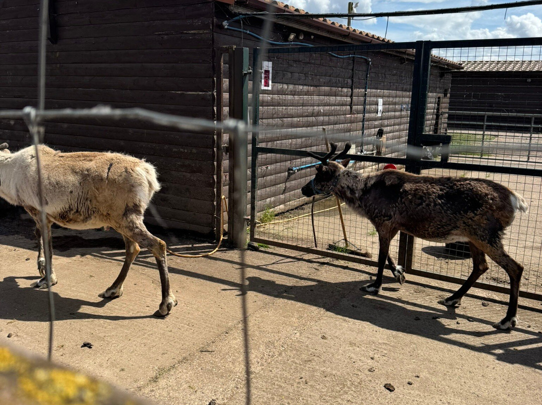 Willow Tree Family Farm-Shirebrook必去景点