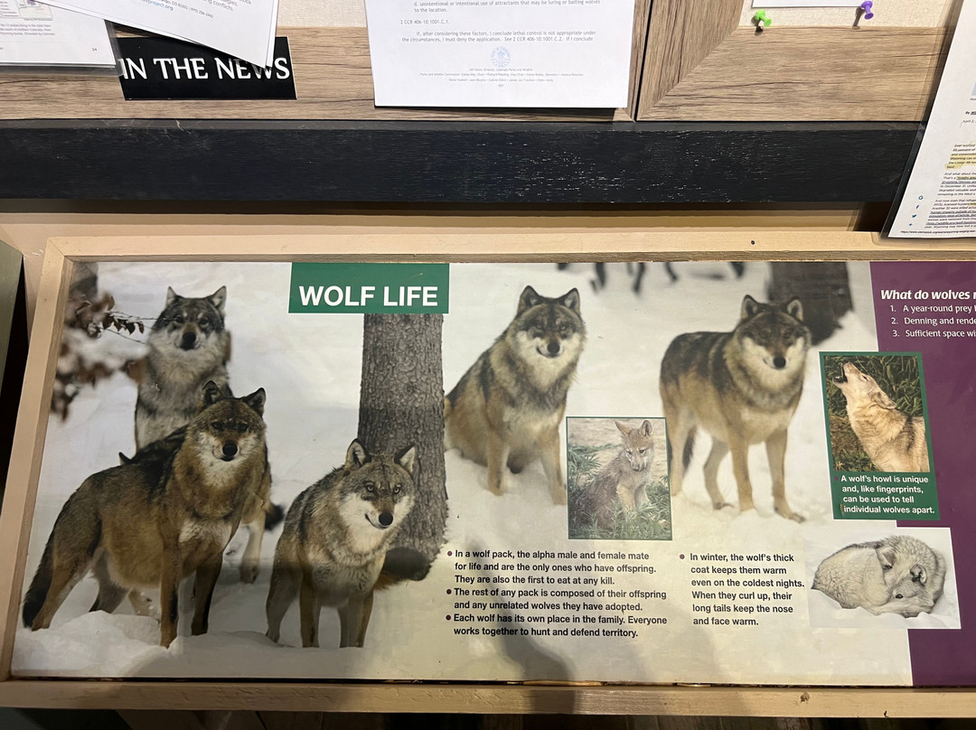 Colorado Wolf Adventures-Woodland Park必去景点