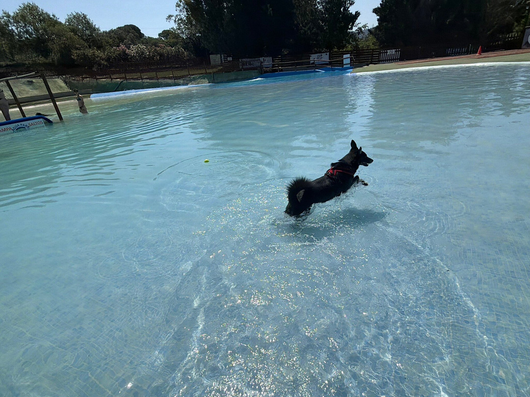 Aquapark Canino Perros Al Agua-拉罗卡德尔瓦列斯必去景点