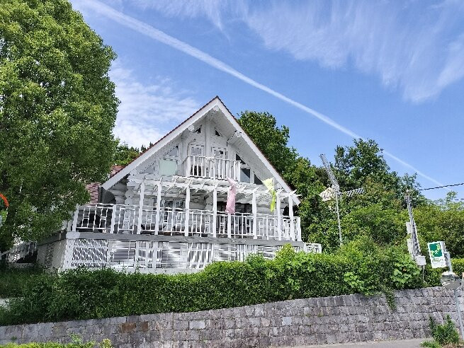 Kitajima Tulip Park-北岛町必去景点