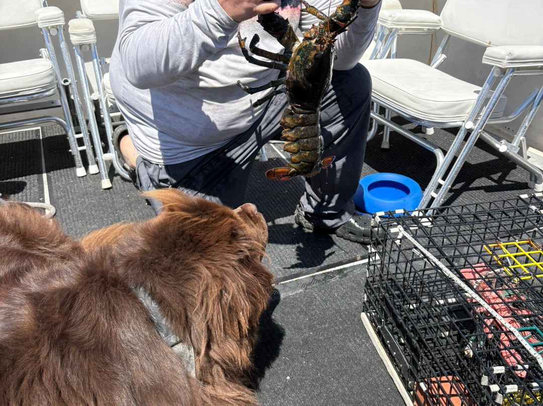 Bar Harbor Fishing Tours-山漠岛必去景点