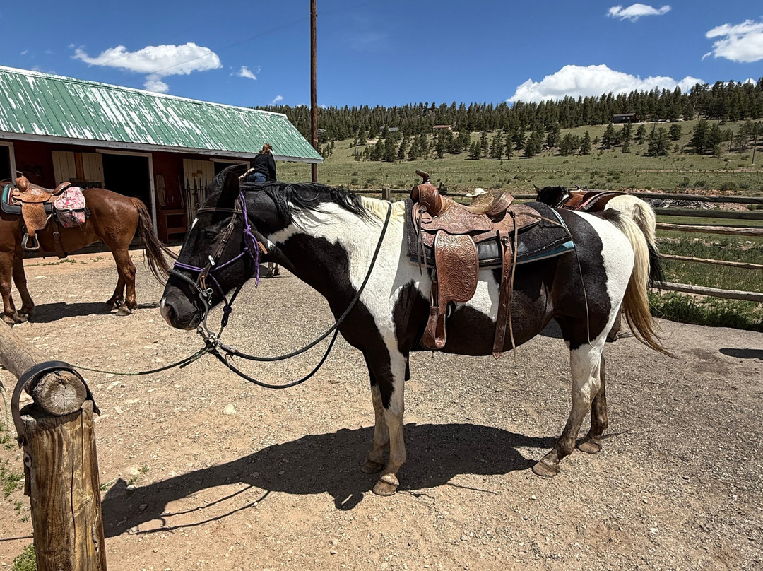 Platte Ranch Riding Stables-Fairplay必去景点