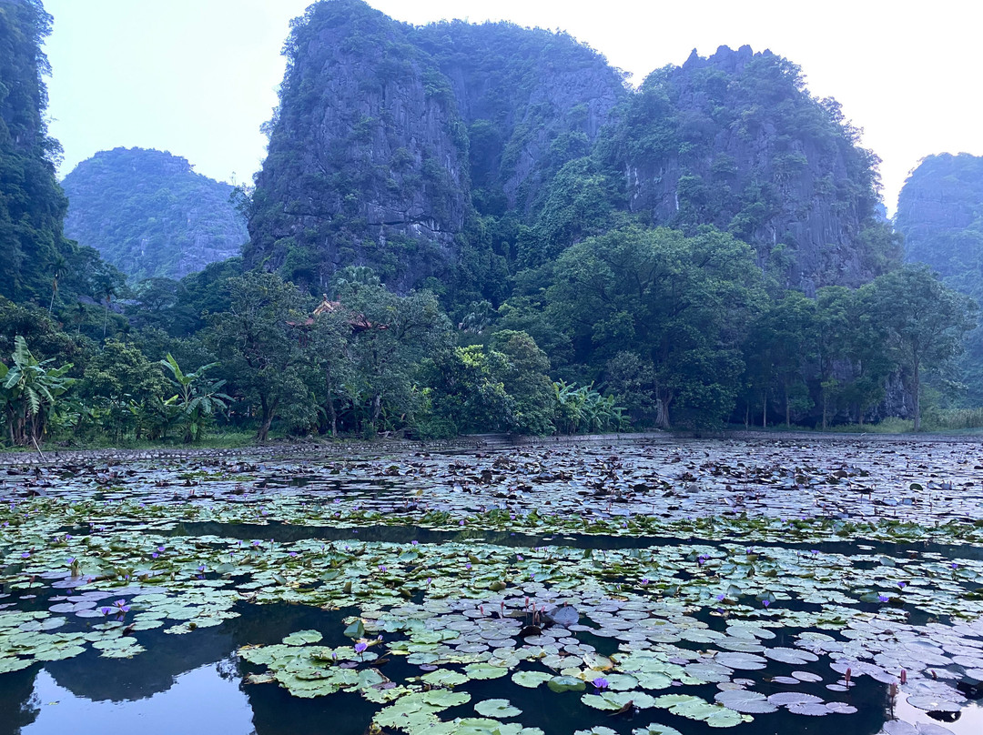 Bich Dong Pagoda-Ninh Hai必去景点