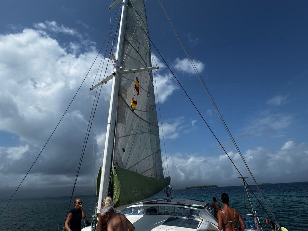 Flying Ginny Catamaran Charter-埃尔波韦尼尔必去景点
