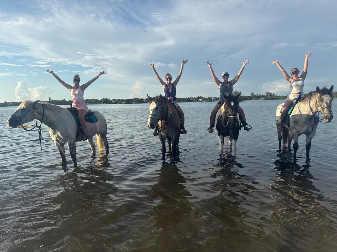 Florida Beach Horses-布雷登顿必去景点