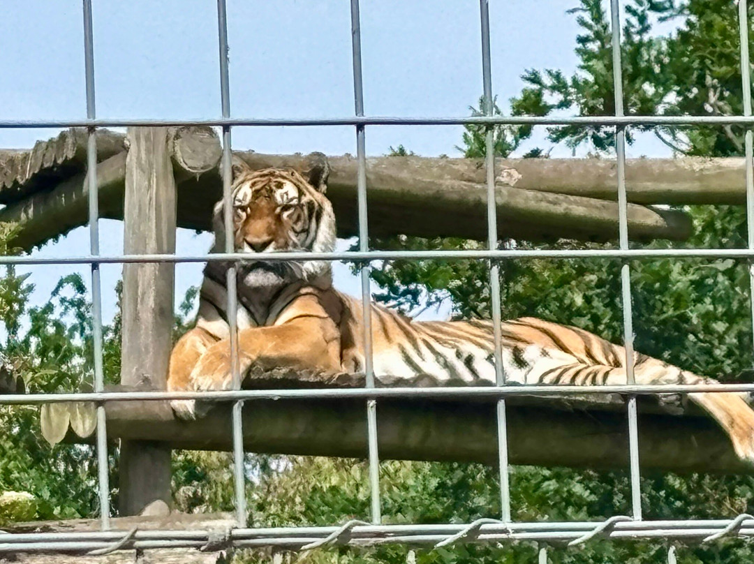 Wingham Wildlife Park-Wingham必去景点