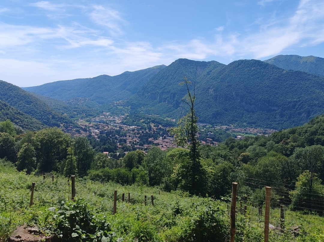 Sentiero Spirito del Bosco-Canzo必去景点