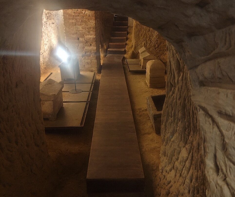 Museo di Storia Naturale dell'Accademia dei Fisiocritici-锡耶纳必去景点