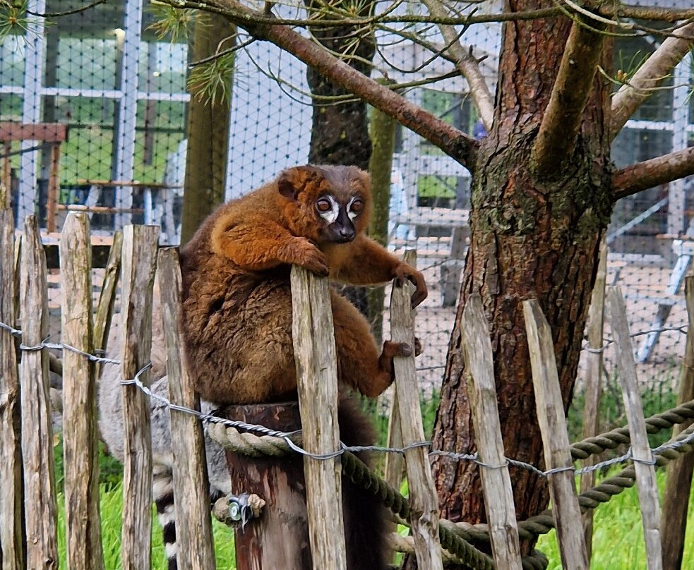Peak Wildlife Park-Winkhill必去景点