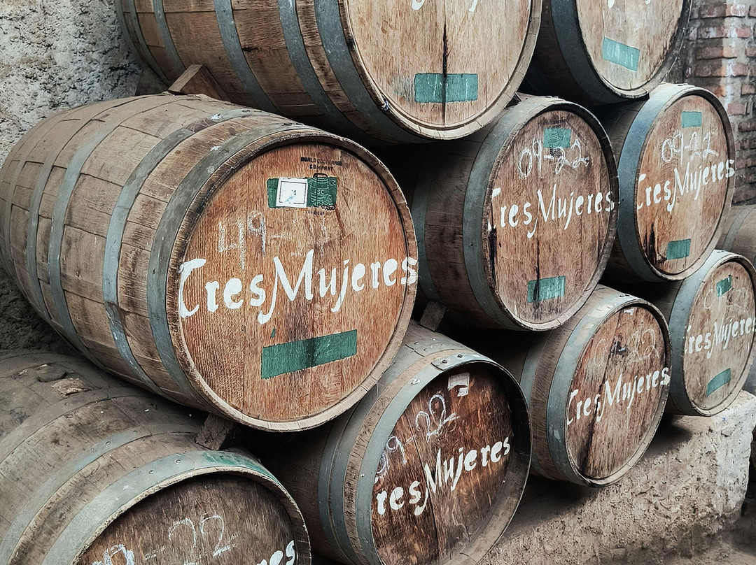 Tequila Tres Mujeres-Amatitan必去景点