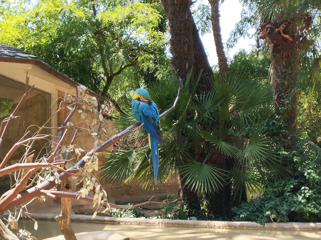 Zoo de La Palmyre-La Palmyre-Les Mathes必去景点