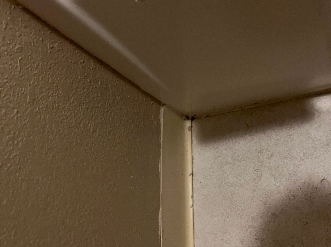 Quality Inn Calvert City - Paducah East主图