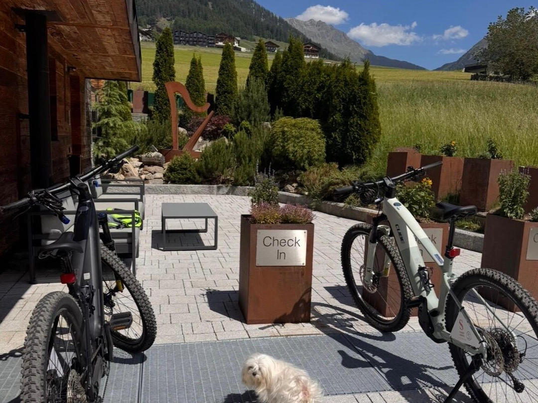 Chalet Salena主图