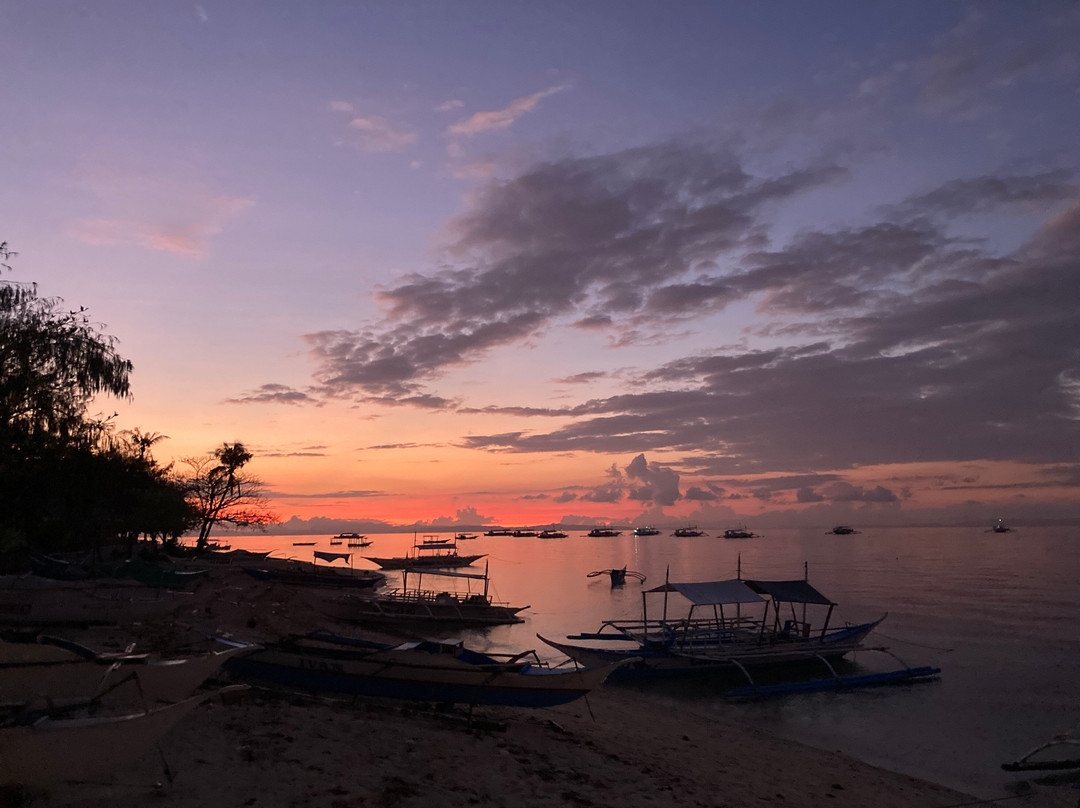 Blue Mind Expeditions
