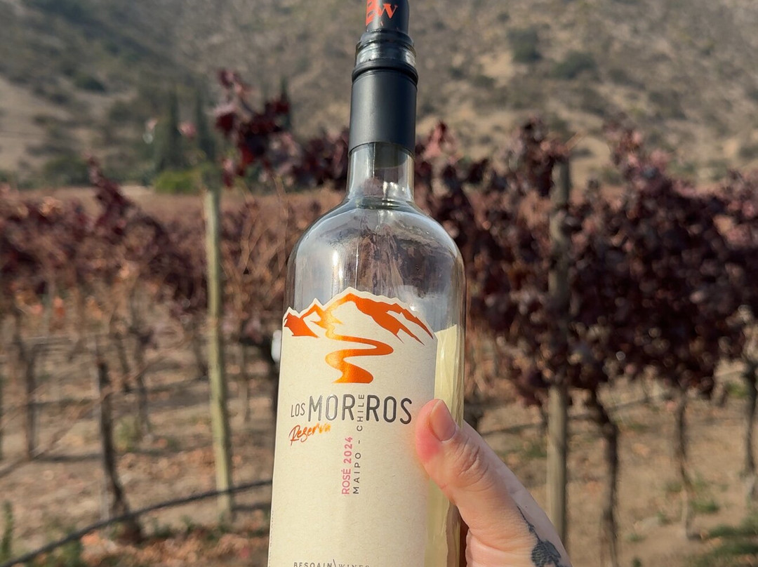 Besoain Wines-Pirque必去景点