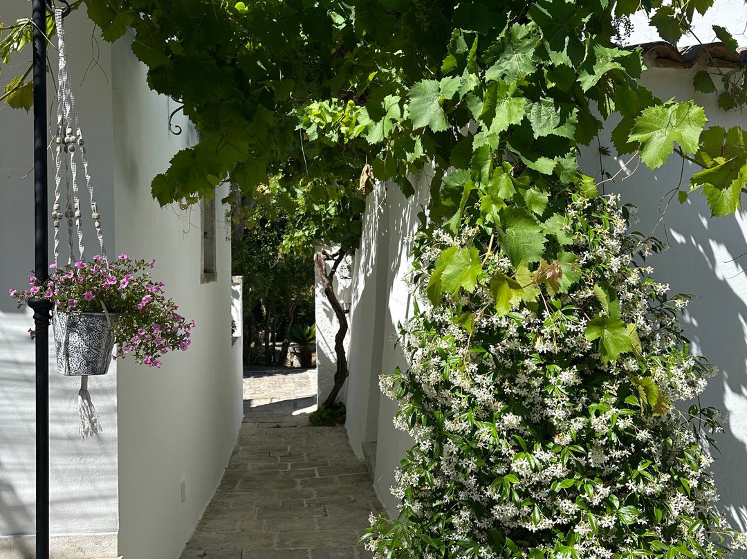 Masseria Trulli&Stelle B&B主图