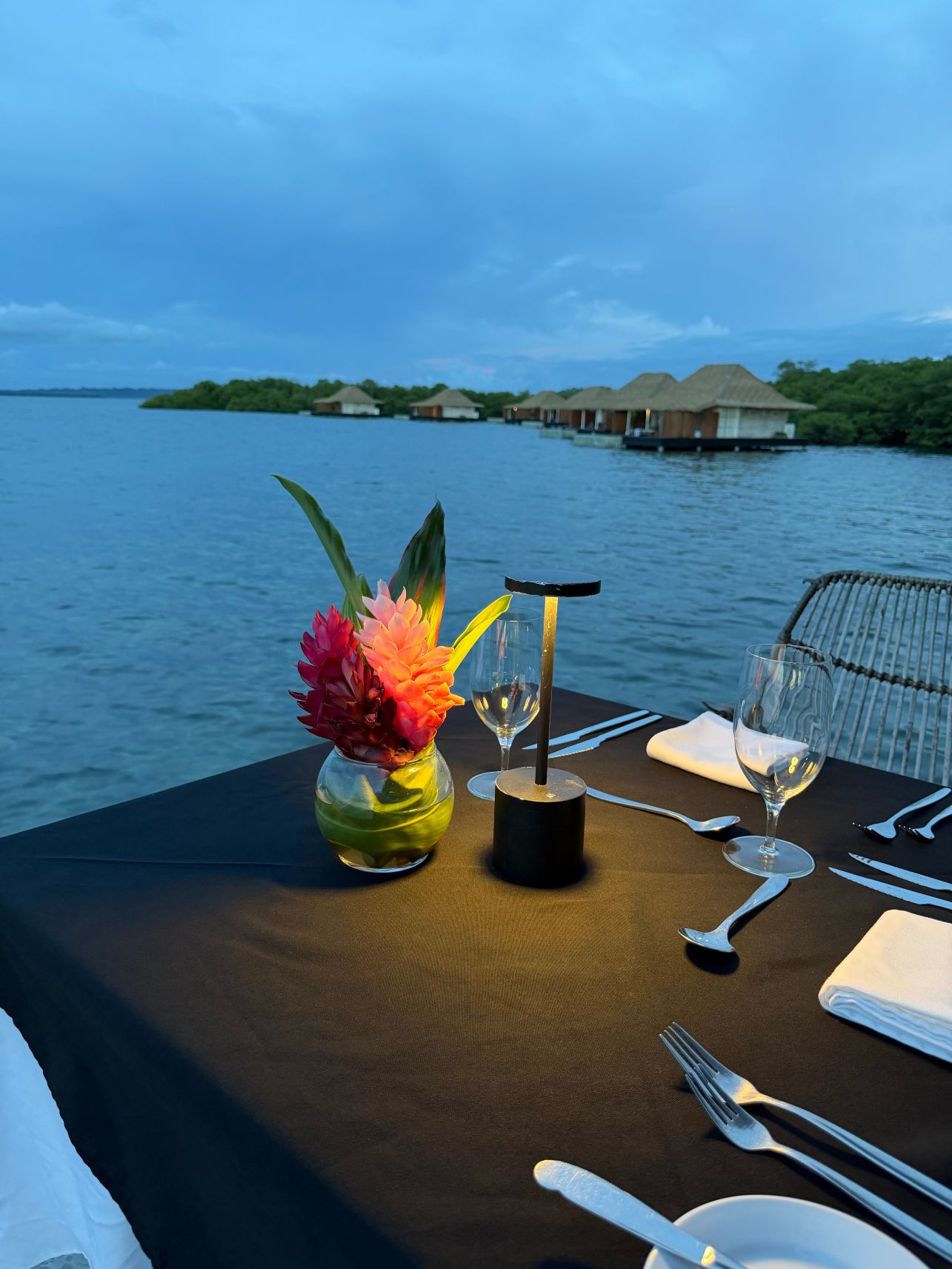 Nayara Bocas Del Toro-旅行者