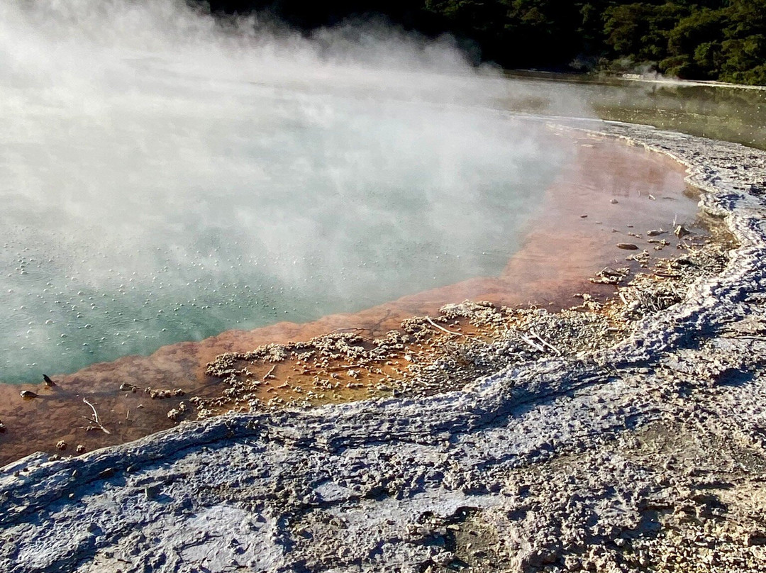 WAI-O-TAPU GEOTHERMAL WONDERLAND, ROTORUA - GROUP DAY TOUR FROM AUCKLAND-Shelly Park必去景点