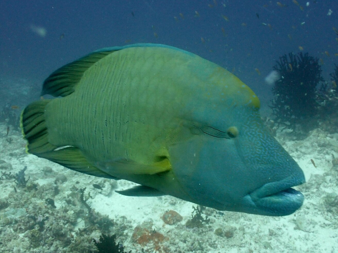 Acqua Adventures Rasdhoo-拉斯胡必去景点