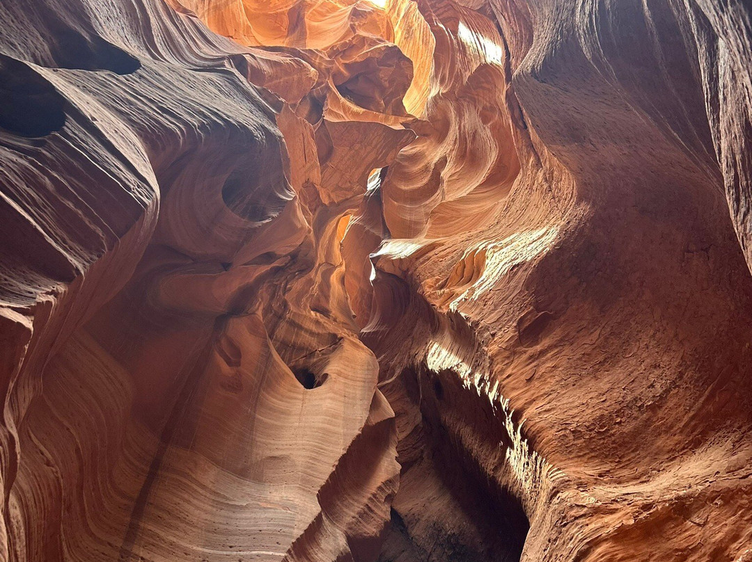 Antelope Canyon X By Taadidiin Tours-佩吉必去景点