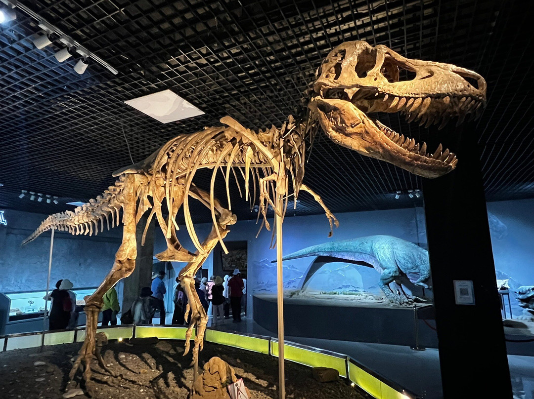 The Natural History Museum Of Mongolia-乌兰巴托必去景点