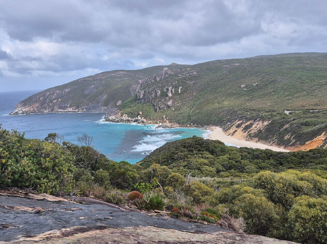 Bald Head Walk Trail-奥尔巴尼必去景点