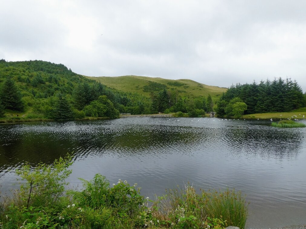 Bwlch Nant yr Arian Forest Visitor Centre-阿伯里斯特威斯必去景点