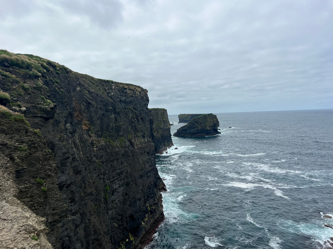 Emerald Irish Tours-Kilkee必去景点