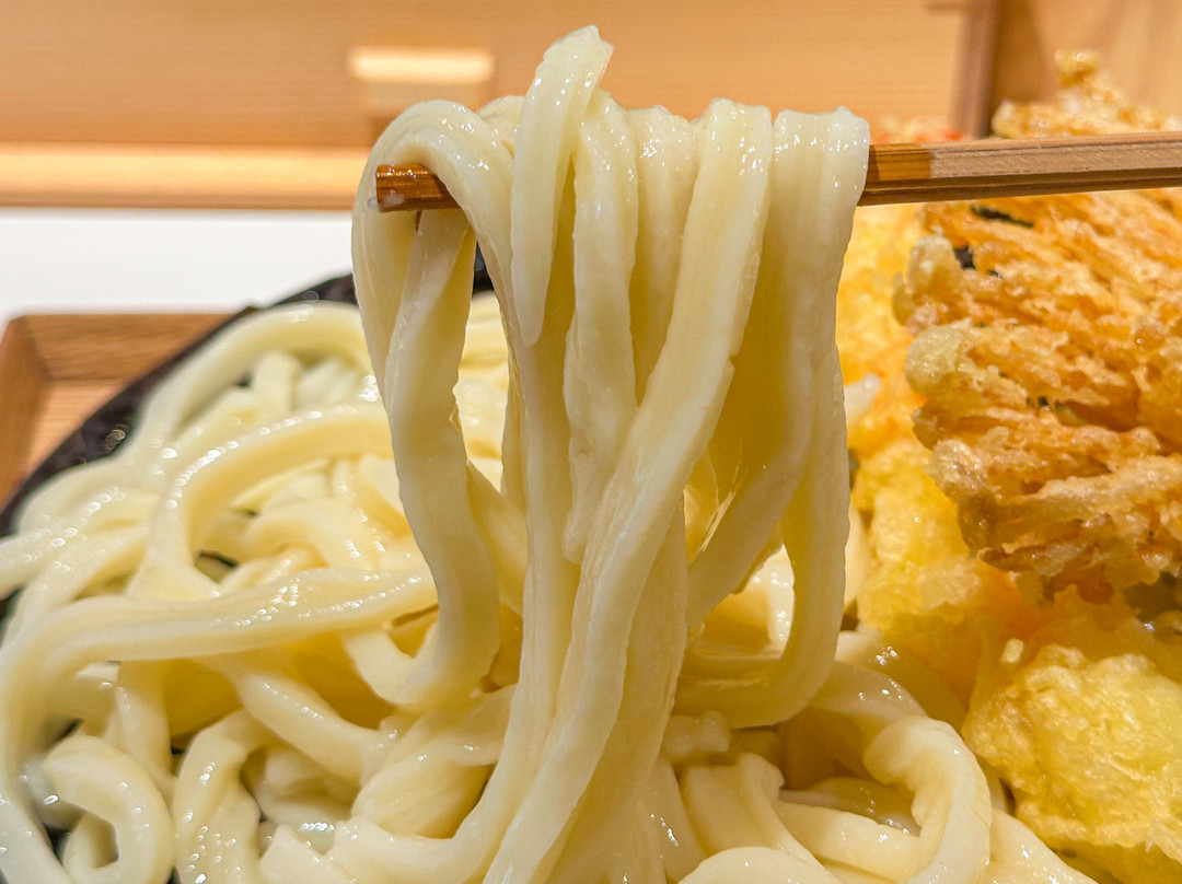六本木うどん
