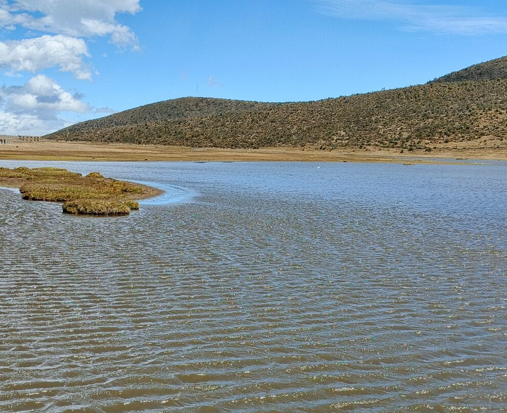 Laguna de Limpiopungo-拉塔昆加必去景点