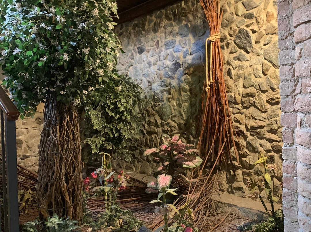Palazzo Conforti Tree House Resort主图