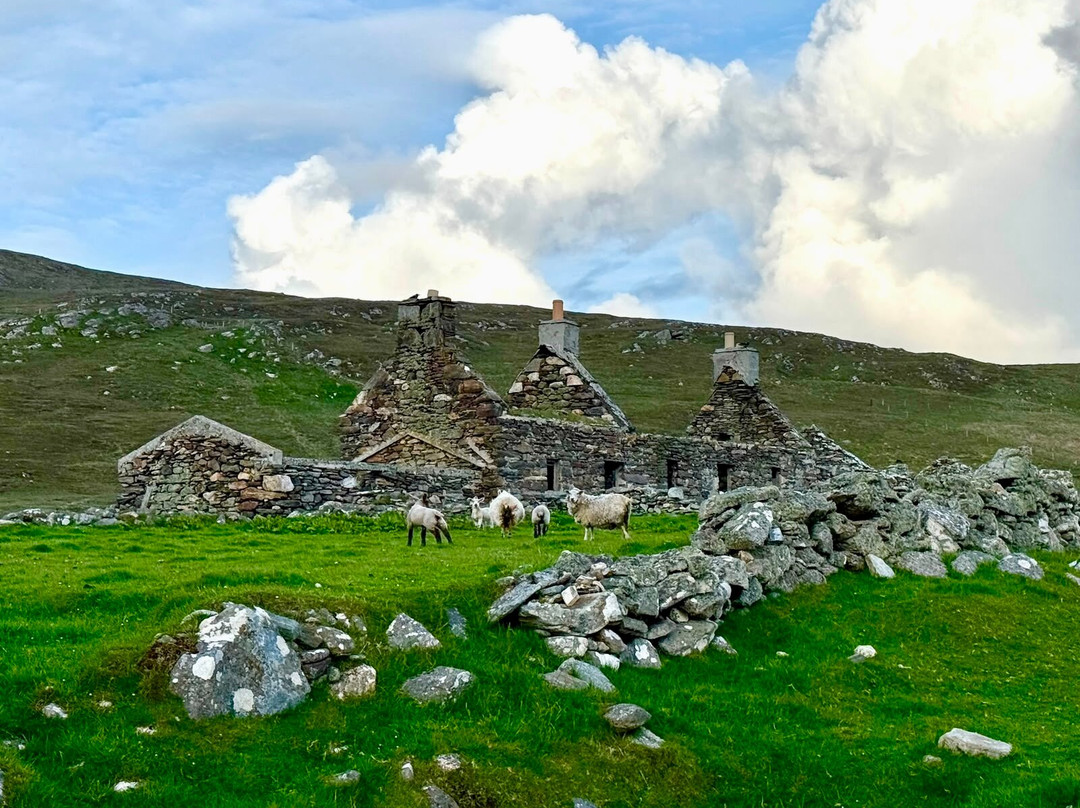 Shetland Nature-Unst必去景点