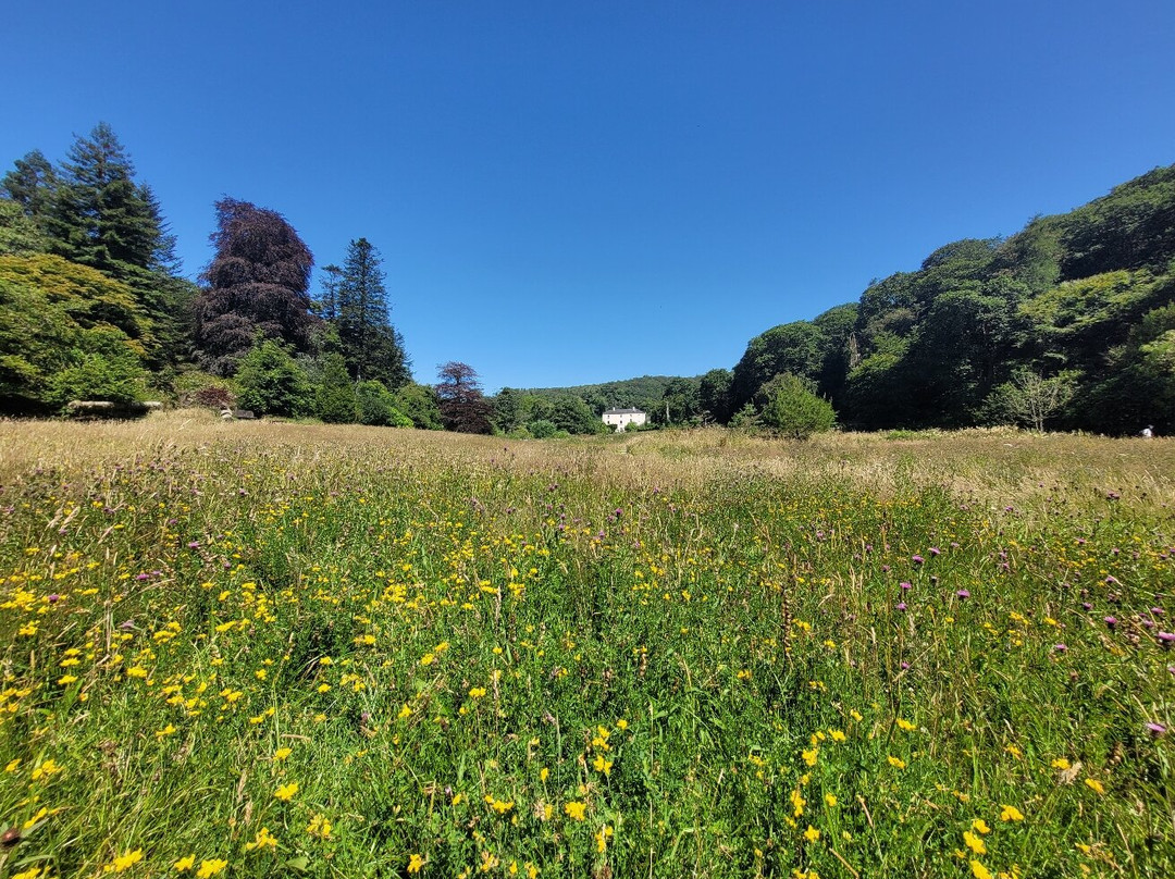 Colby Woodland Garden (National Trust)-Amroth必去景点