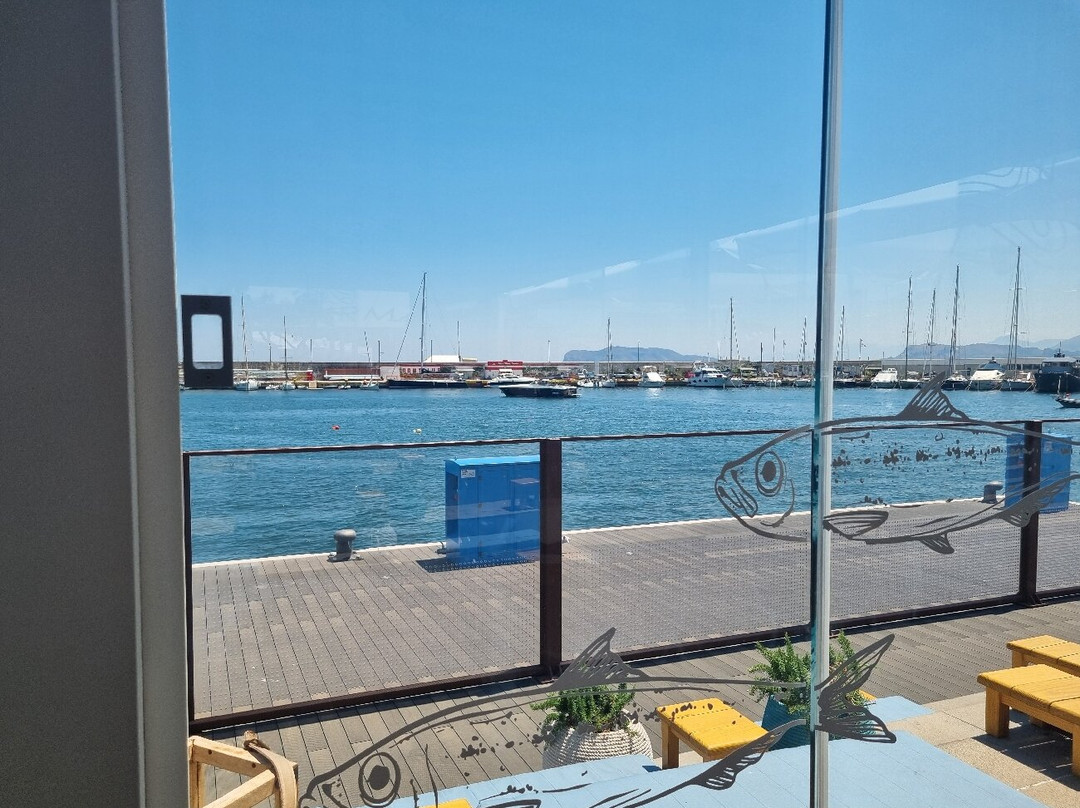 Ciurma Marina Yachting
