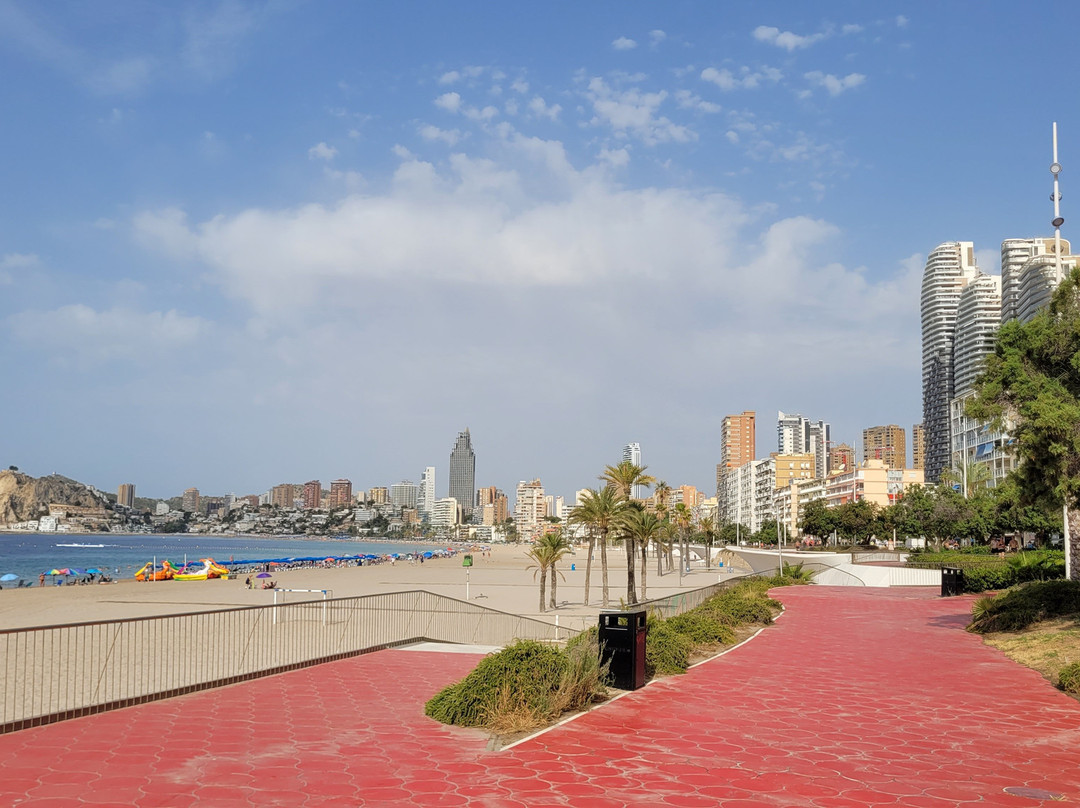 Tram Alicante-阿利坎特省必去景点