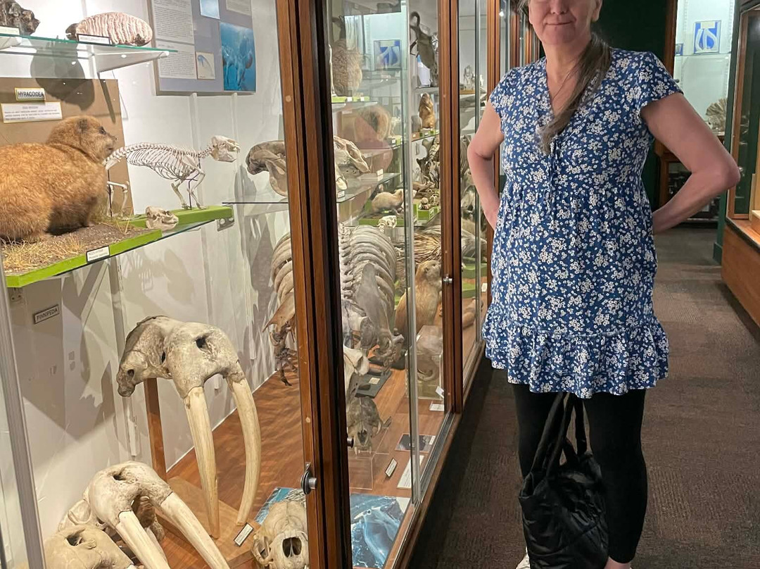 University of Aberdeen Zoology Museum-阿伯丁必去景点