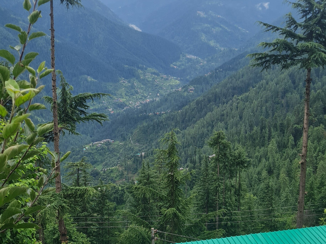 Ishan Log Huts - A Boutique Homestay主图